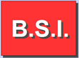 B.S.I. srl